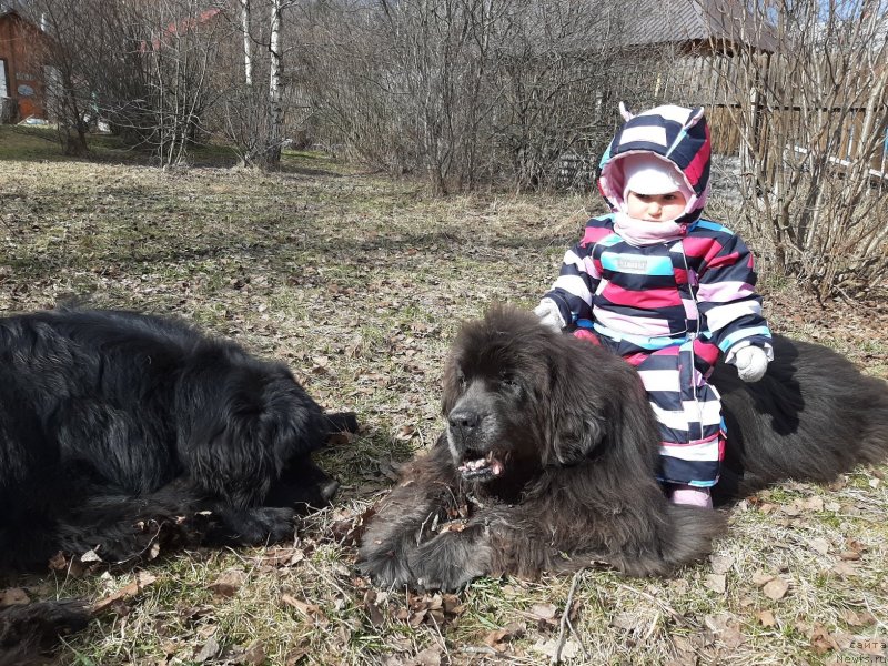 Фотография № 246705