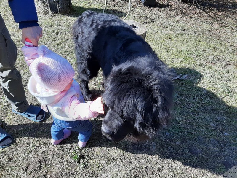 Фотография № 246709