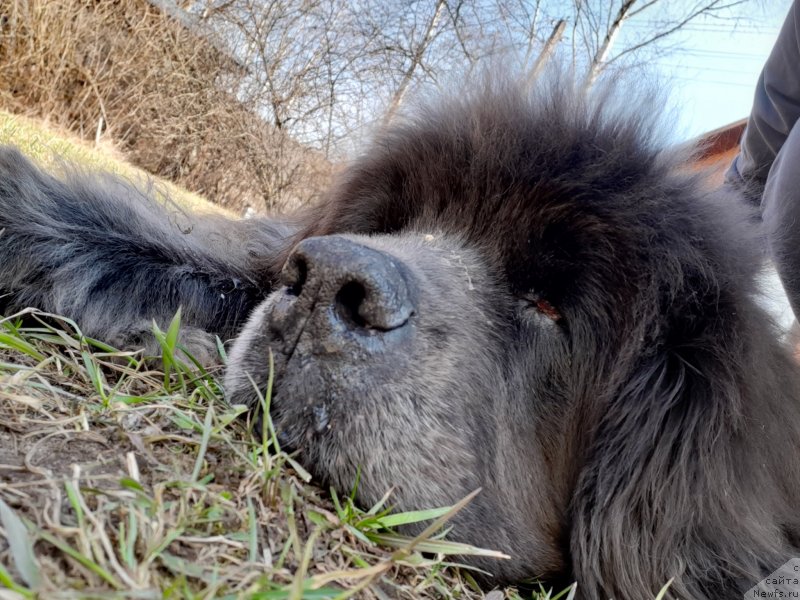 Фотография № 246711