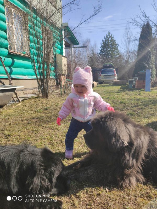 Фотография № 246717