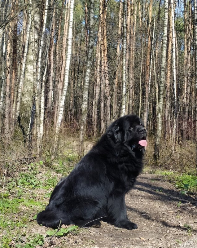 Фотография № 246719