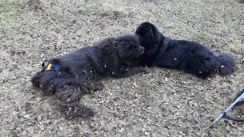 Фотография № 246725