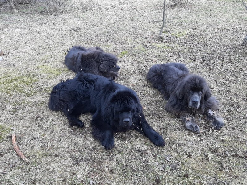 Фотография № 246726