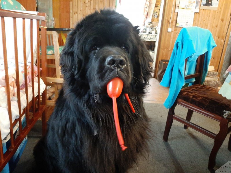 Фотография № 246731