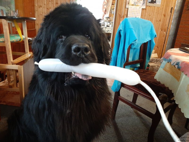 Фотография № 246733