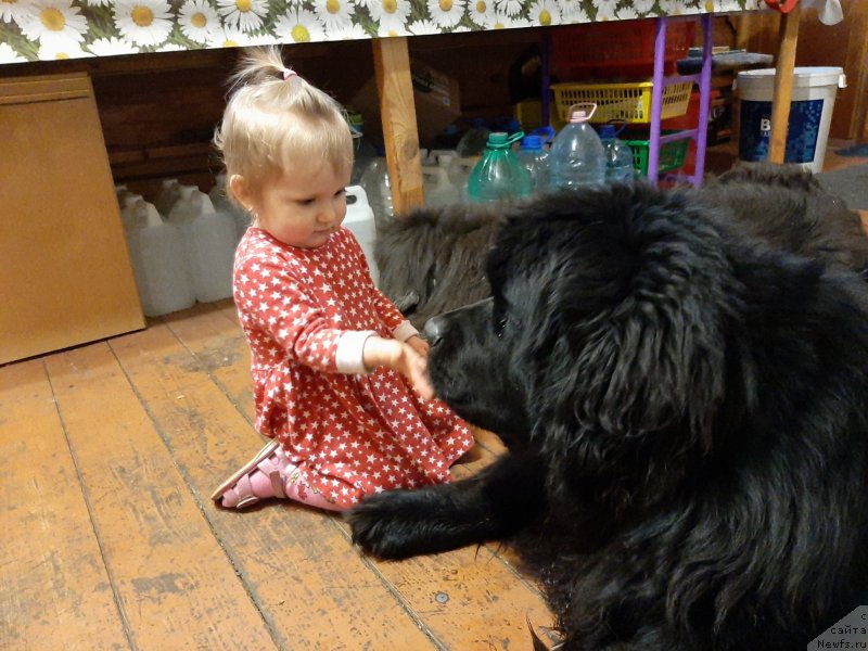 Фотография № 246735