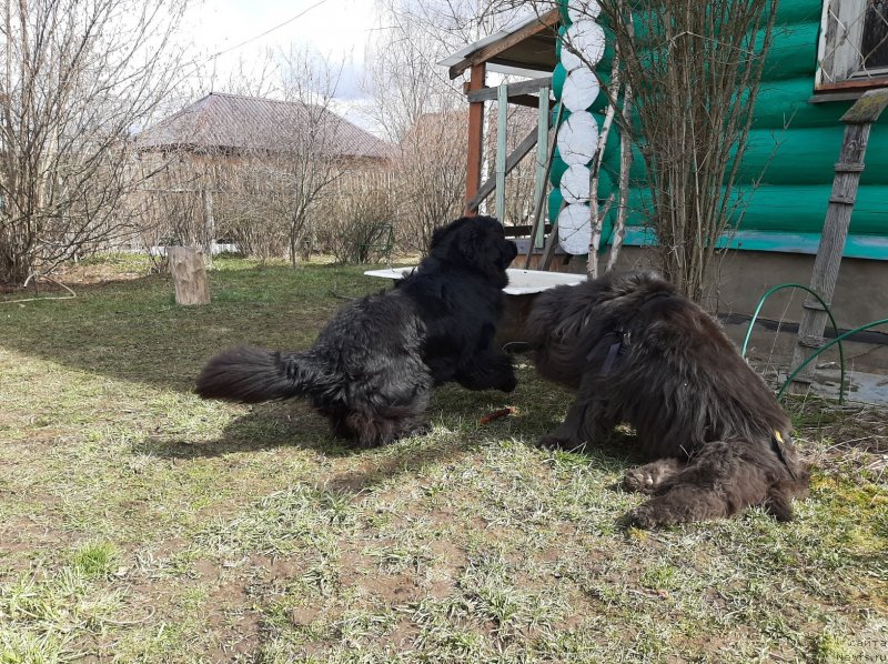 Фотография № 246746