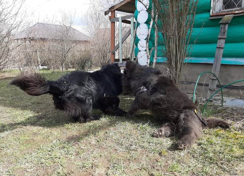 Фотография № 246751