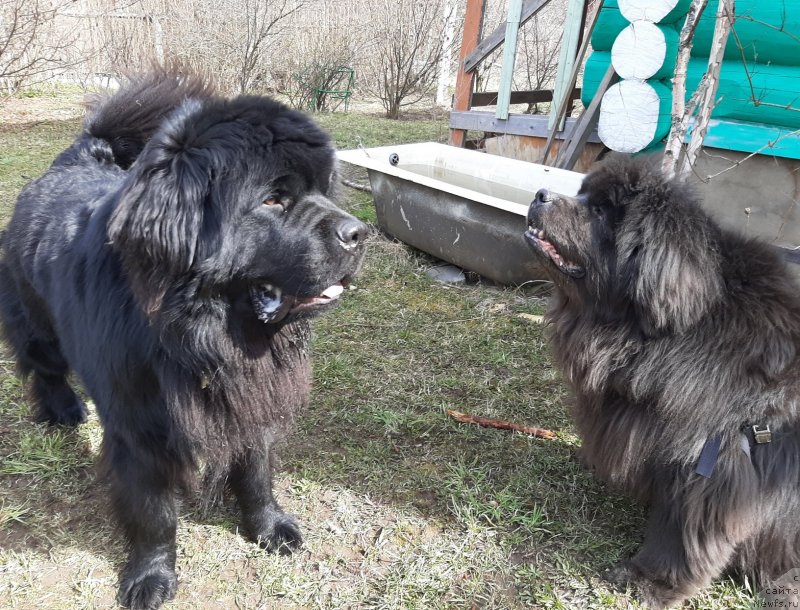 Фотография № 246754