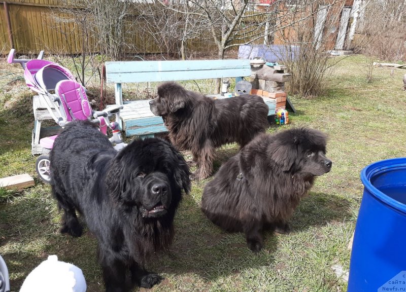 Фотография № 246757