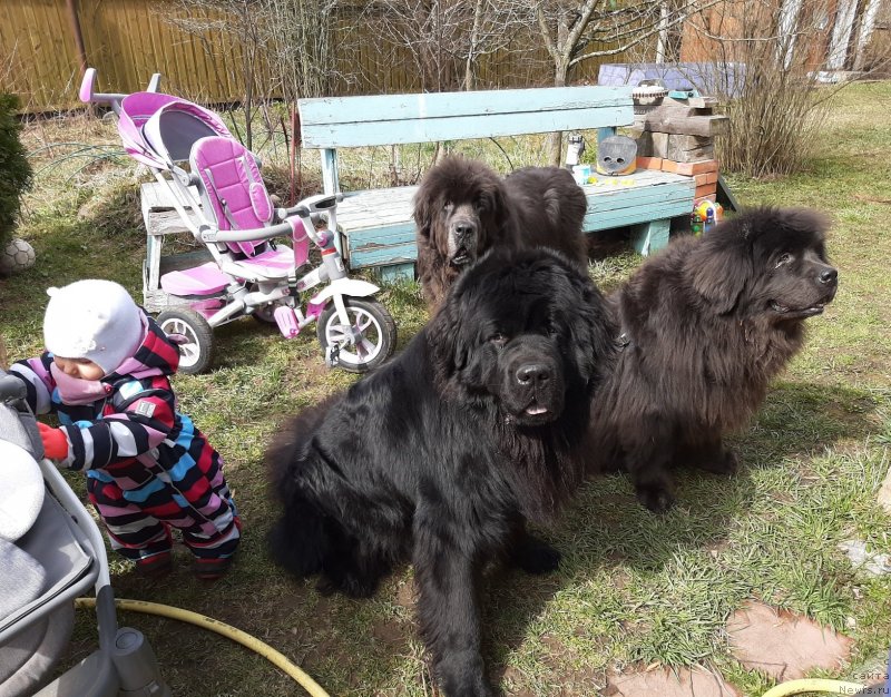 Фотография № 246758