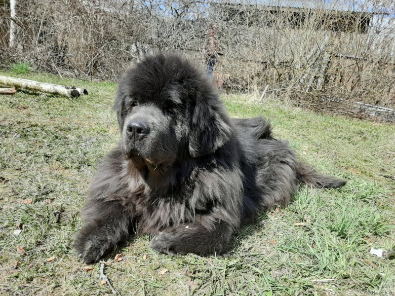 Фотография № 246759