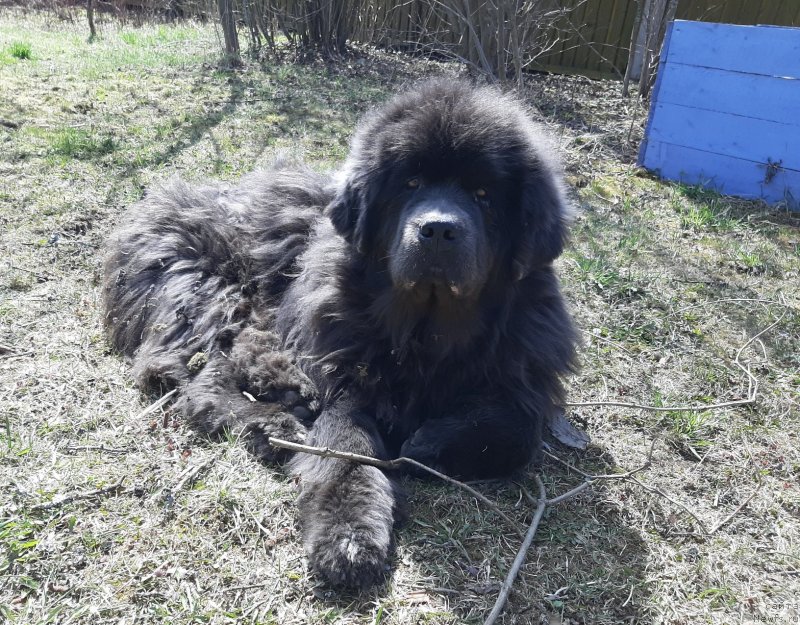 Фотография № 246763