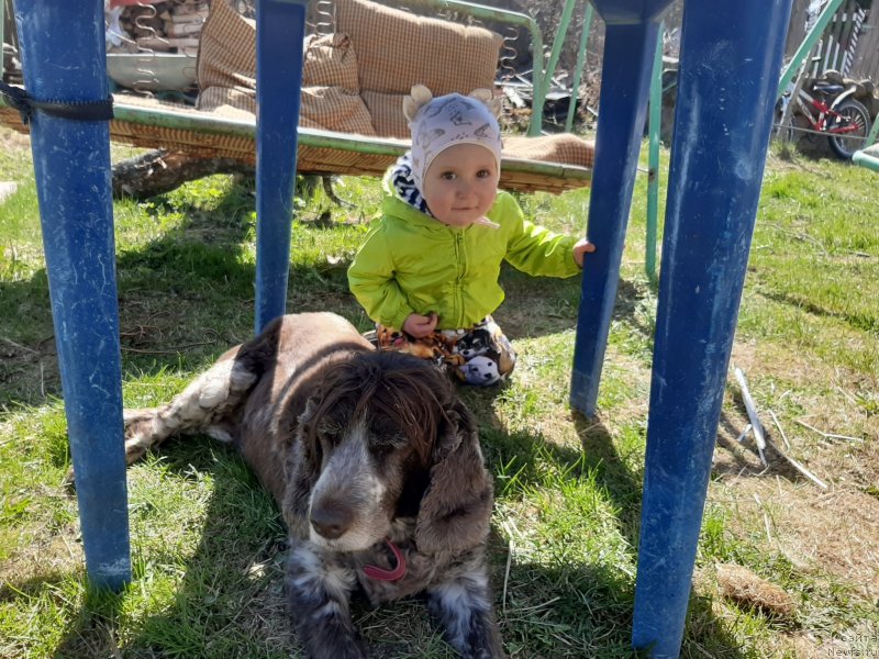 Фотография № 246793