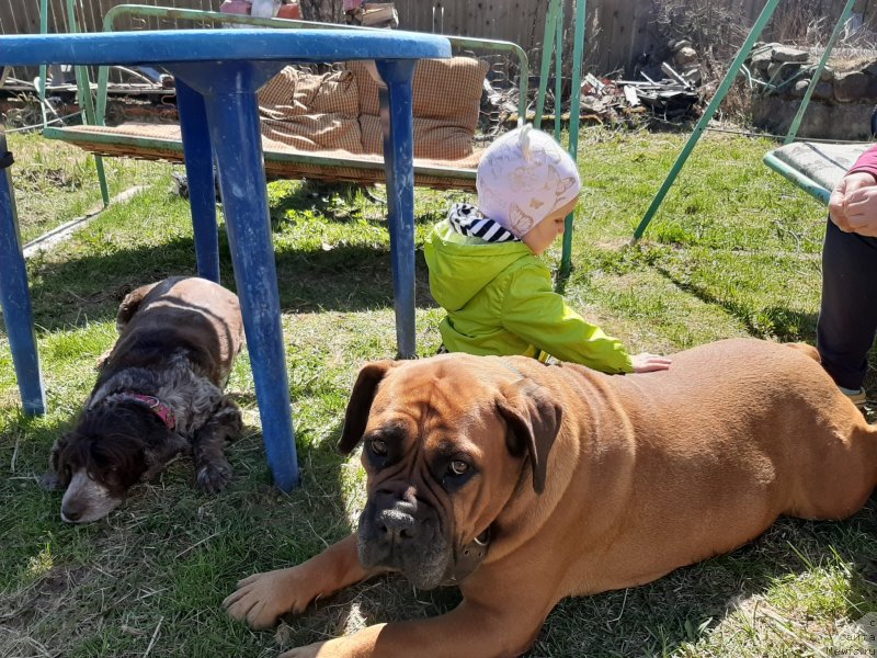 Фотография № 246794