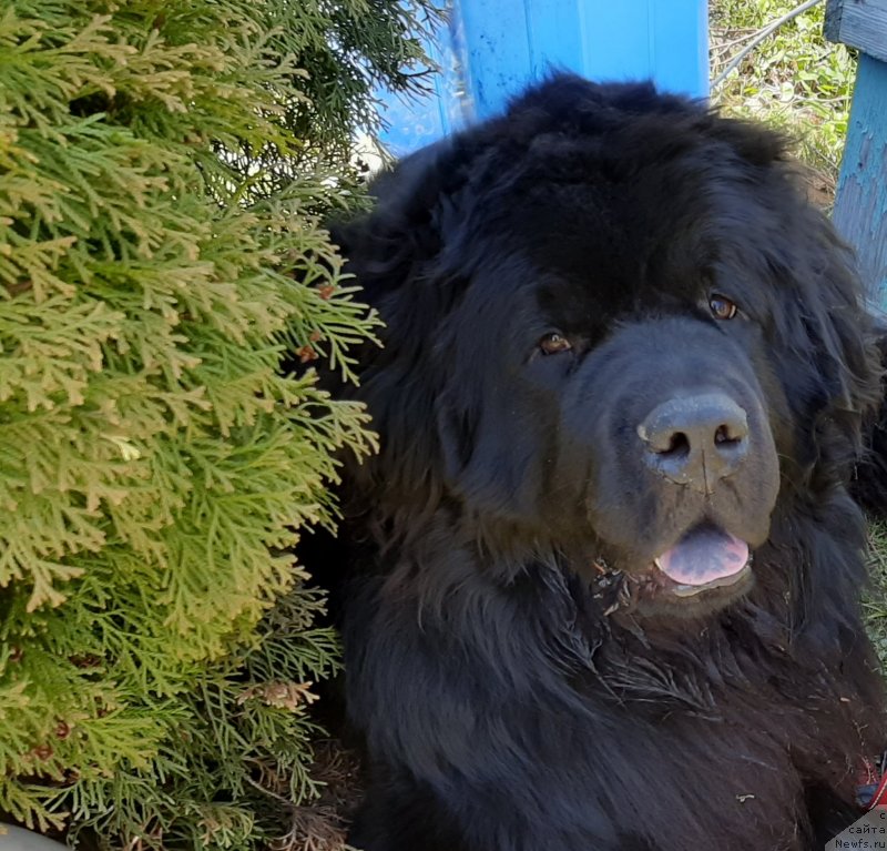 Фотография № 246799