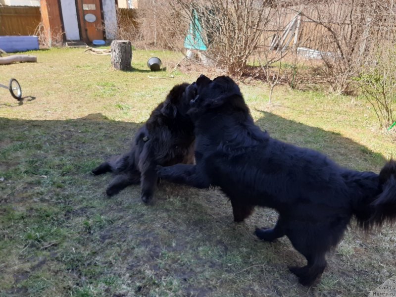 Фотография № 246803