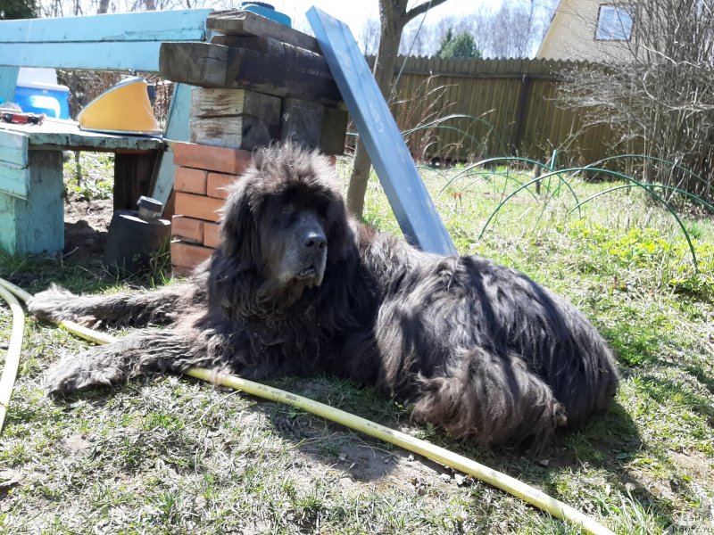 Фотография № 246808