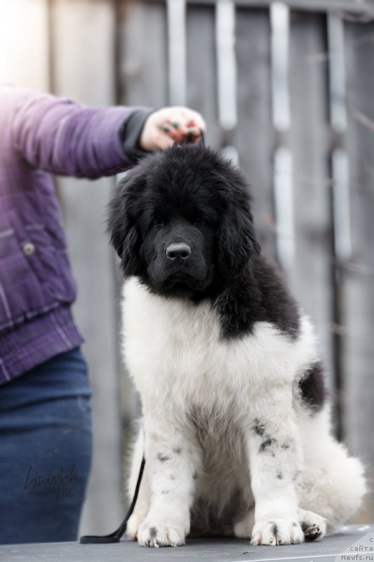 Фотография № 246812