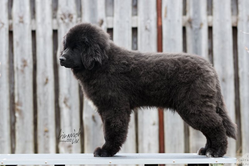 Фотография № 246815