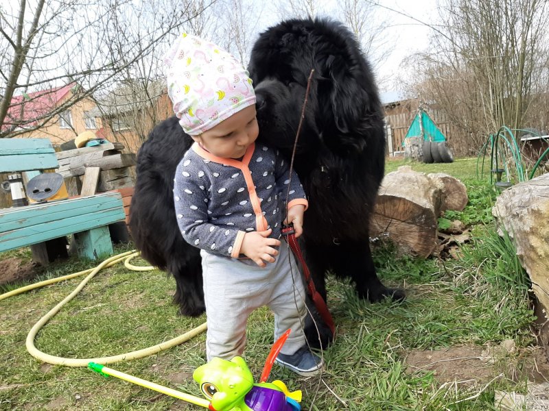 Фотография № 246827