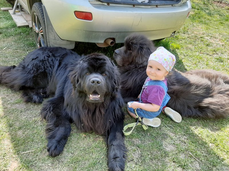 Фотография № 246829