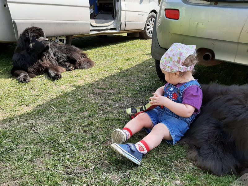 Фотография № 246830