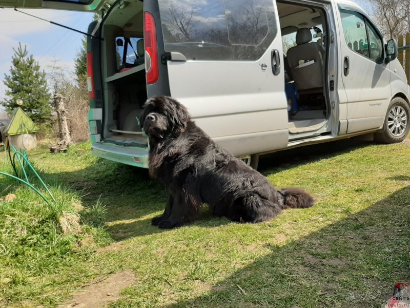 Фотография № 246831