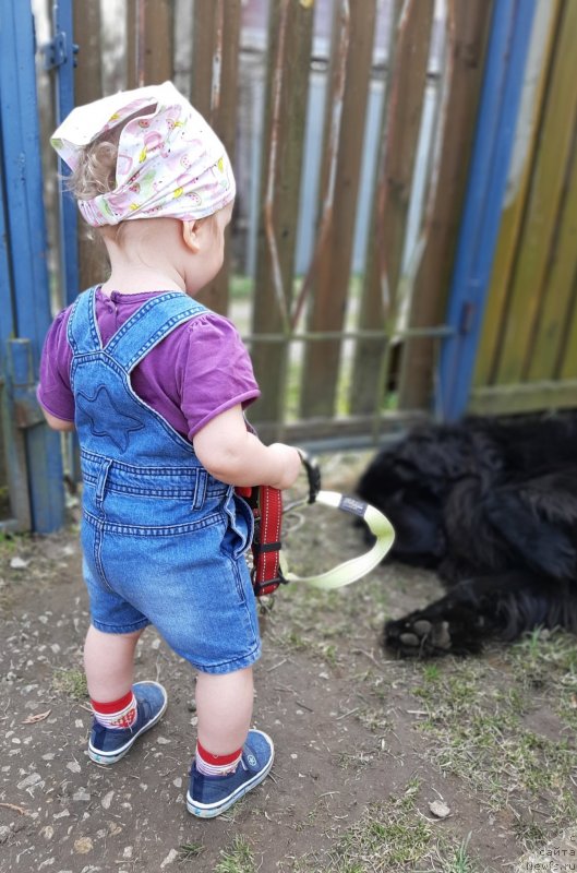 Фотография № 246832