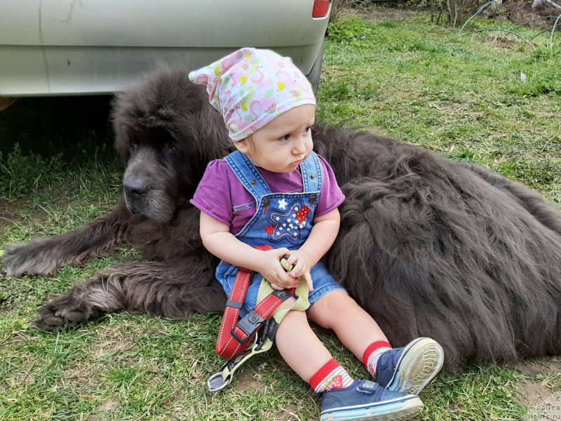 Фотография № 246834