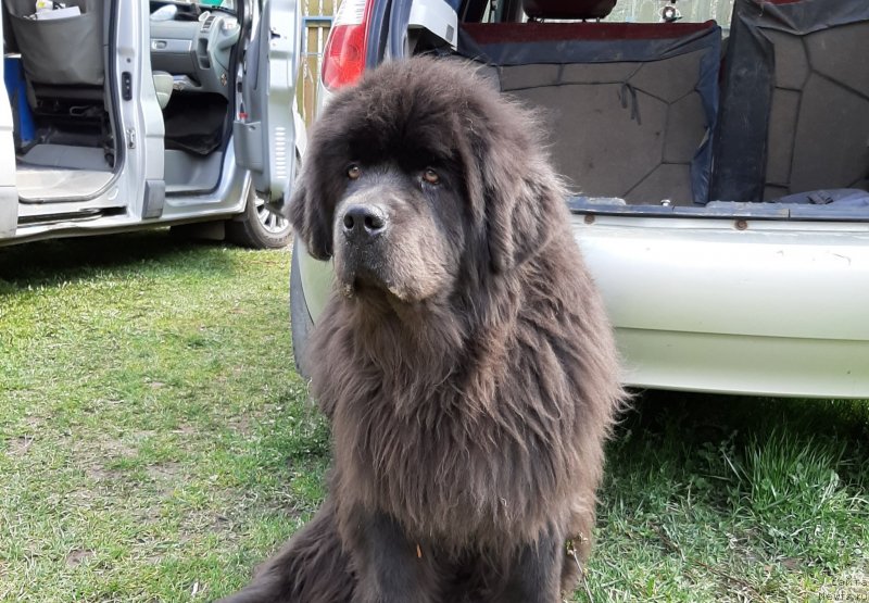 Фотография № 246839