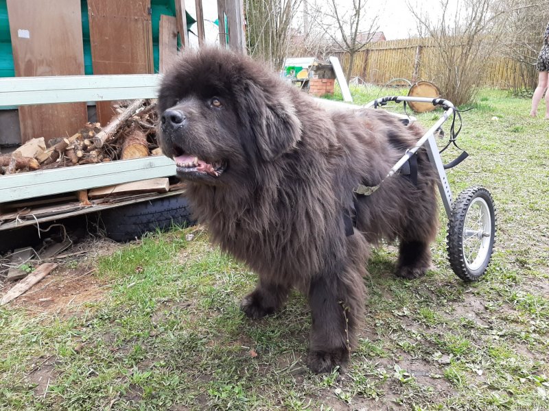 Фотография № 246841