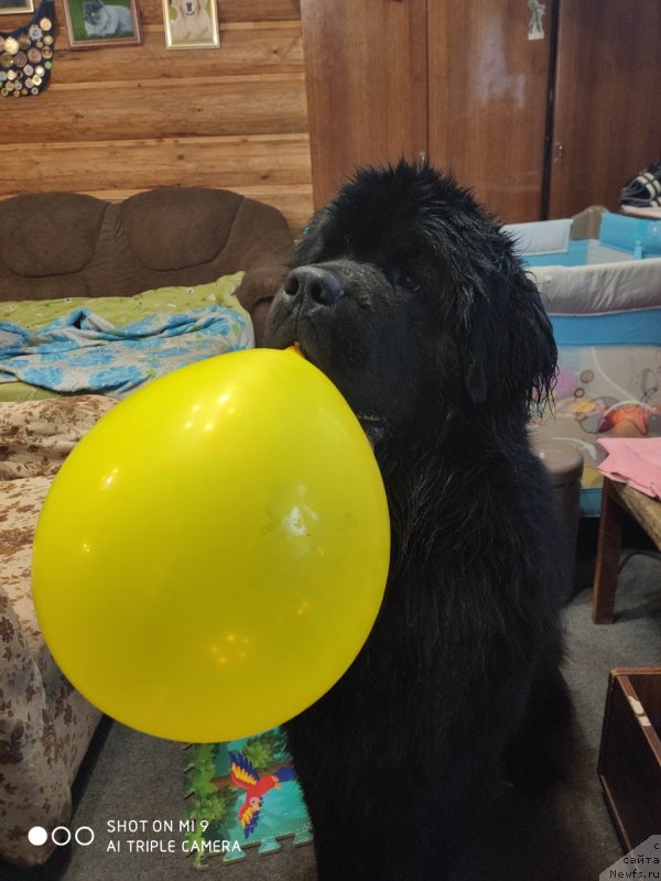 Фотография № 246844