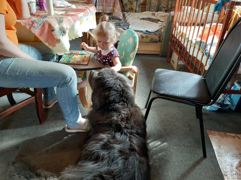 Фотография № 246878