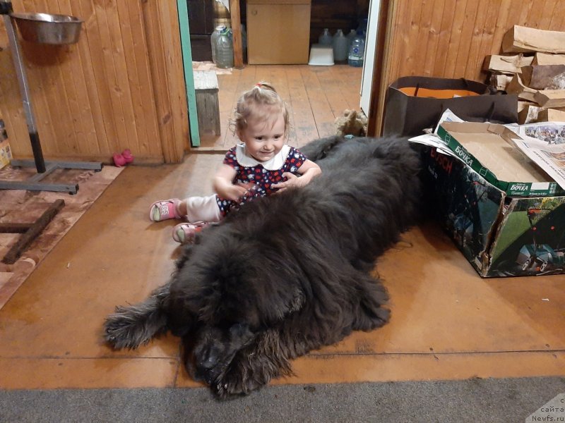 Фотография № 246879