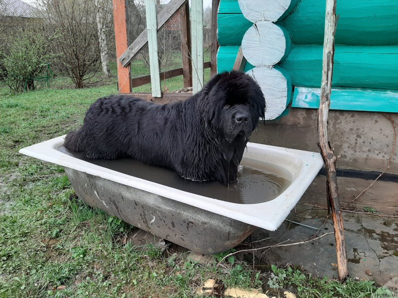 Фотография № 246885