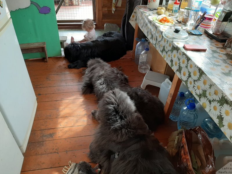 Фотография № 246933