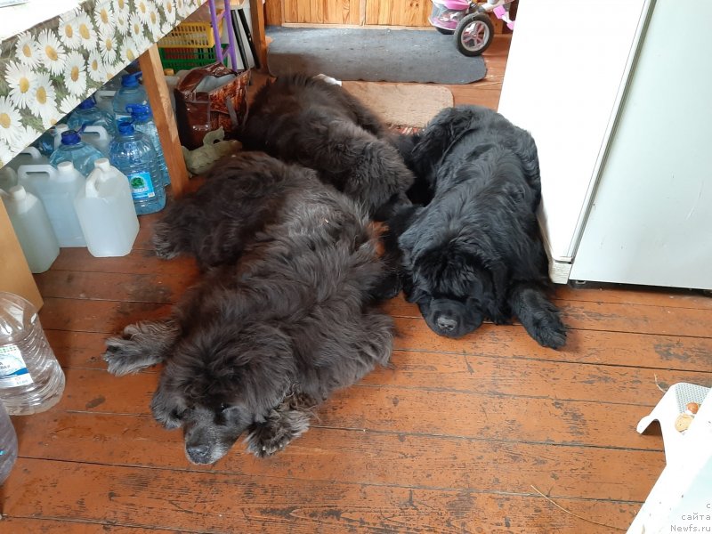 Фотография № 246934