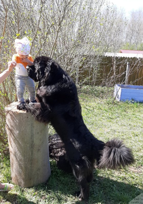 Фотография № 246938