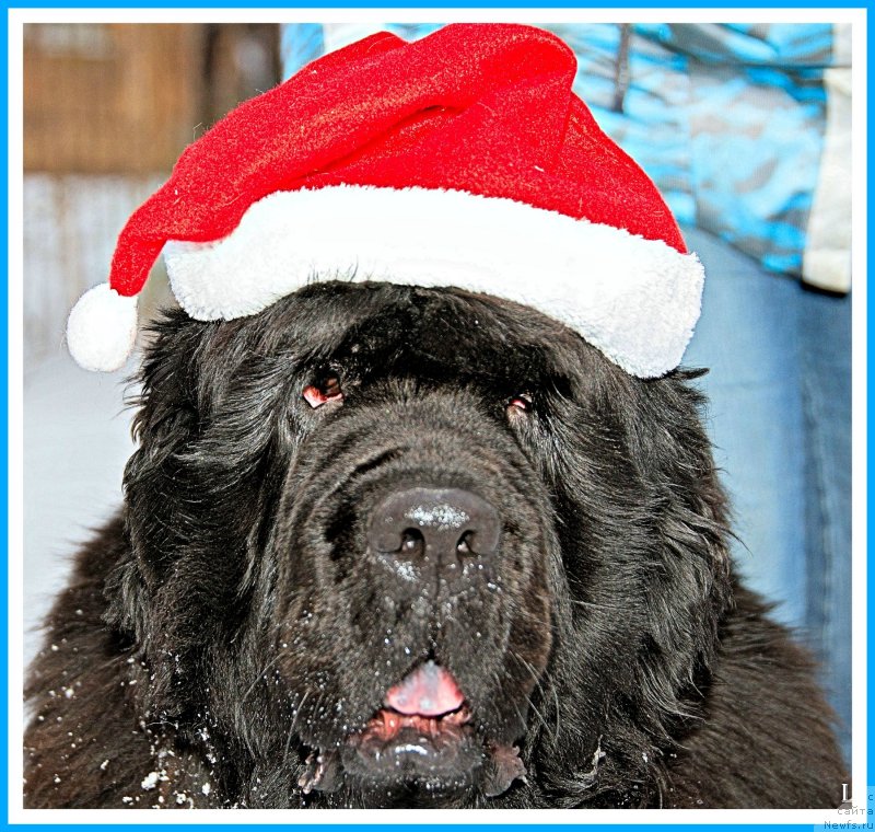 Фотография № 247008