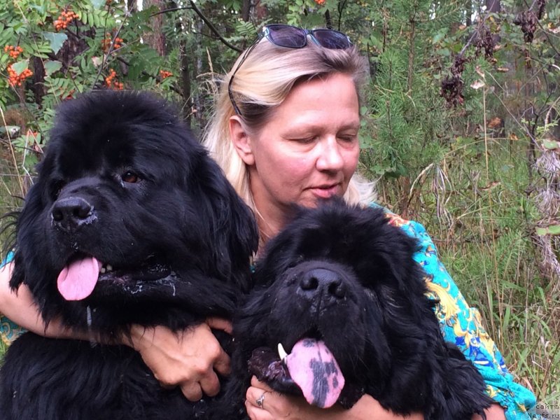 Фотография № 247010