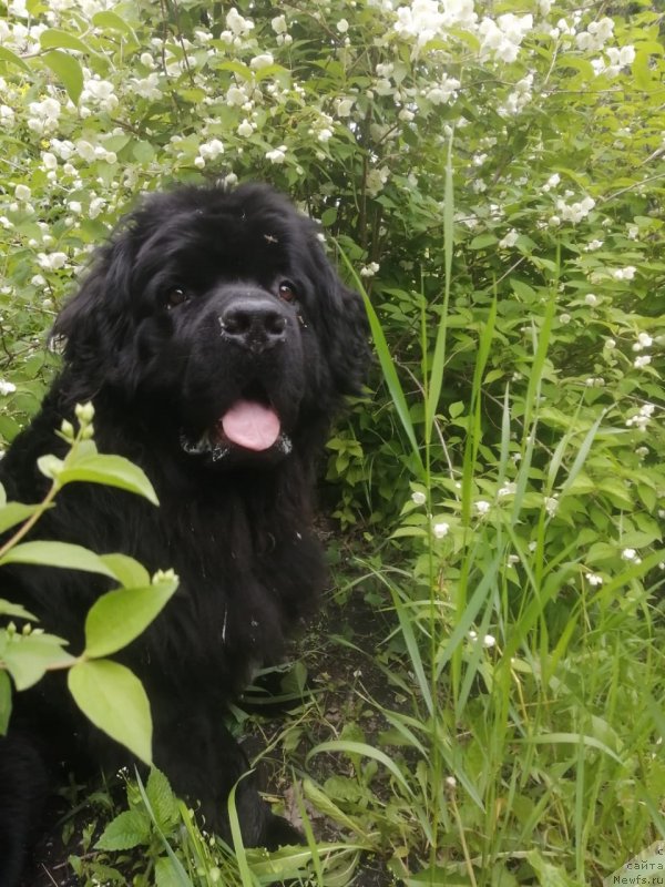 Фотография № 247038