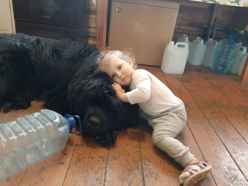 Фотография № 247166