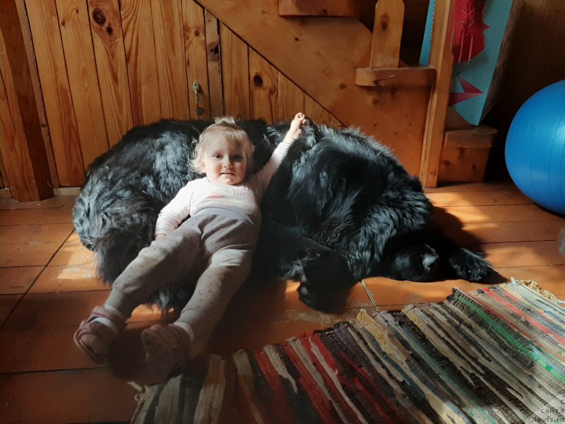 Фотография № 247167