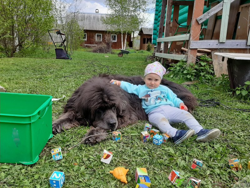 Фотография № 247168