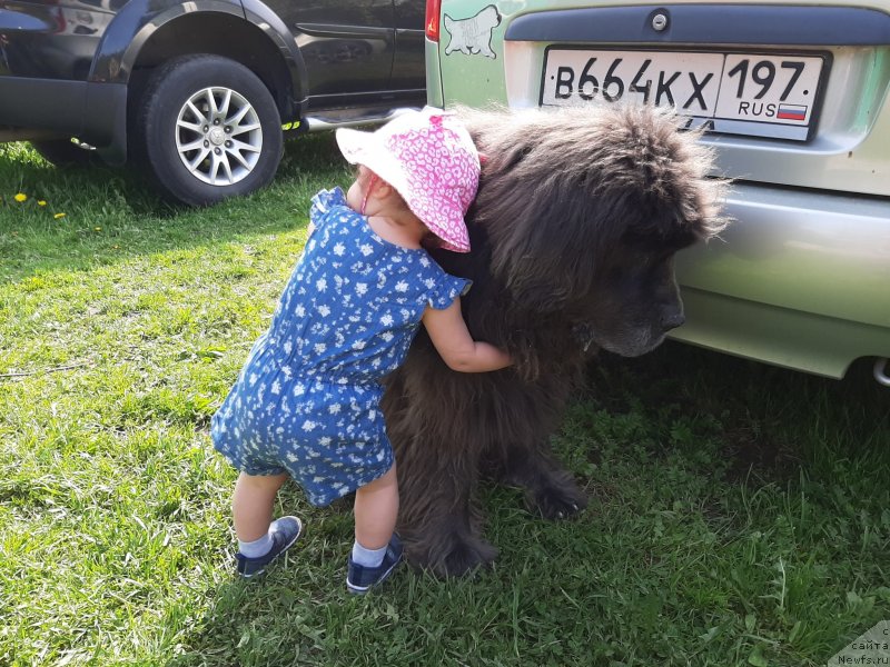 Фотография № 247169