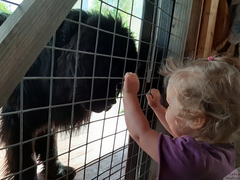 Фотография № 247173