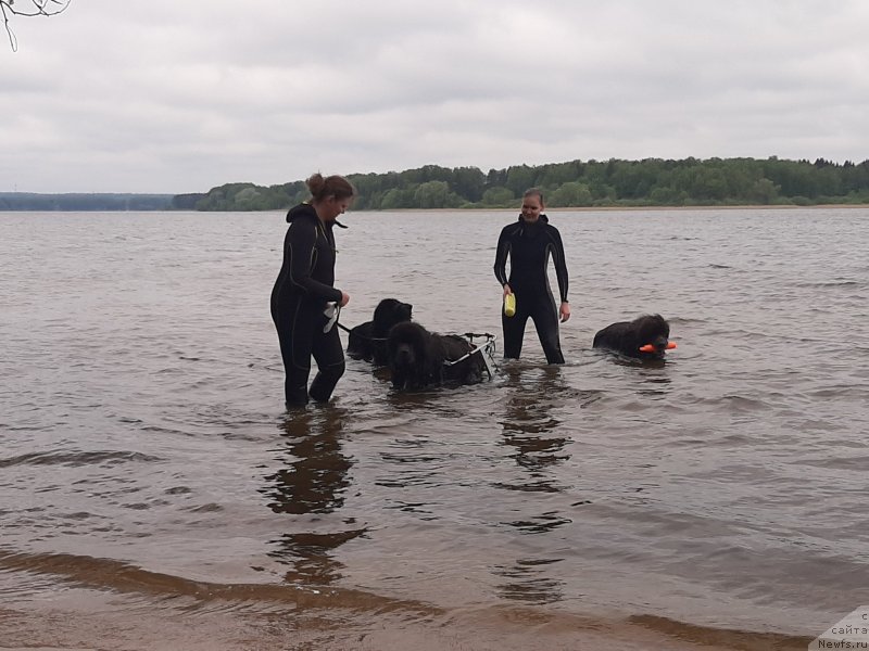 Фотография № 247176