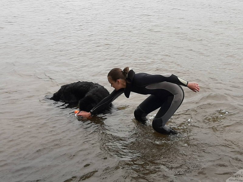 Фотография № 247178