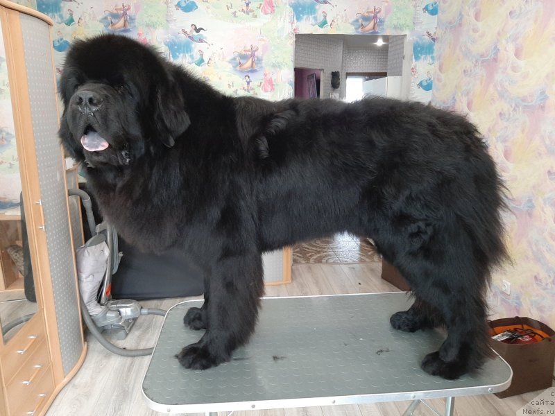 Фотография № 247189